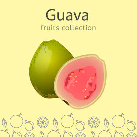 Fruits Collection Imageのイラスト素材