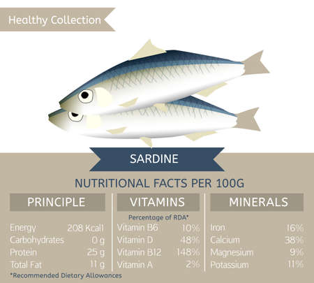 Sardine health benefits. Vector illustration with useful nutritional facts. Essential vitamins and minerals in healthy food. Medical, healthcare and dietary concept.のイラスト素材