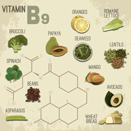 High vitamin B9 Foods. Healthy fruits, berries, nuts, lentils, greens and vegetables. Vector illustration in retro style on a light beige background.のイラスト素材