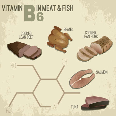 High vitamin B6 Foods. Healthy meat, fish and chicken. Vector illustration in retro style with chemical formula on a light beige background.のイラスト素材