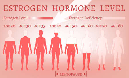 Estrogen Hormone Level in pink toneのイラスト素材