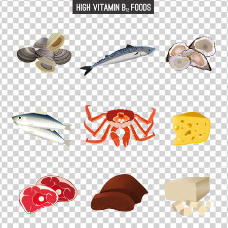 High vitamin B12 Foods like Healthy seafood, meat, liver, fish, crab, cottage cheese,  tofu and oystersのイラスト素材