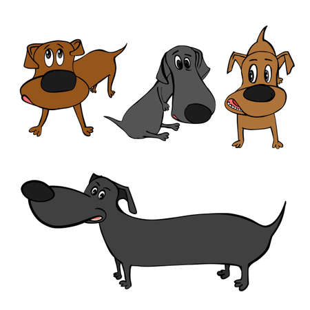 Cute colourful dachshund dogs in cartoon style.のイラスト素材