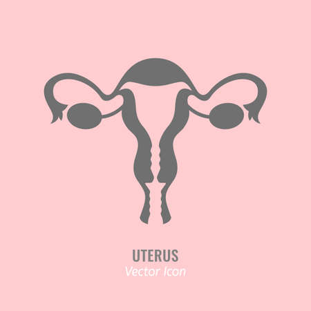 Uterus vector iconのイラスト素材