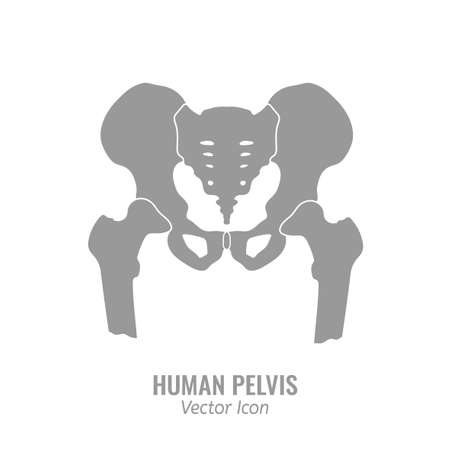 Human male anatomy icon. Pelvis image in a flat style. Vector illustration in grey colour isolated on a white background.のイラスト素材