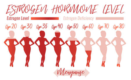 Estrogen Hormone Level. Beautiful medical vector illustration in pink colours. Scientific, educational and popular-scientific concept.のイラスト素材