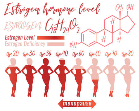 Estrogen hormone level infographic. Beautiful medical vector illustration with estrogen molecular formula in pink colours.のイラスト素材