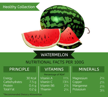 The watermelon health benefits. Vector illustration with useful nutritional facts. Essential vitamins and minerals in healthy food. Medical, healthcare and dietory concept.のイラスト素材