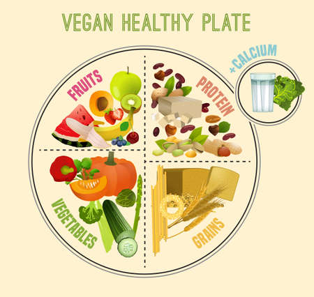 Vegan healthy plate concept vector illustrationのイラスト素材