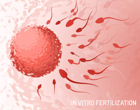 In vitro fertilisation and ovulation concept. Medical and healthcare background with moving spermatozoons and female egg. Artificial insemination poster. Vector illustration in red and pink colors.のイラスト素材
