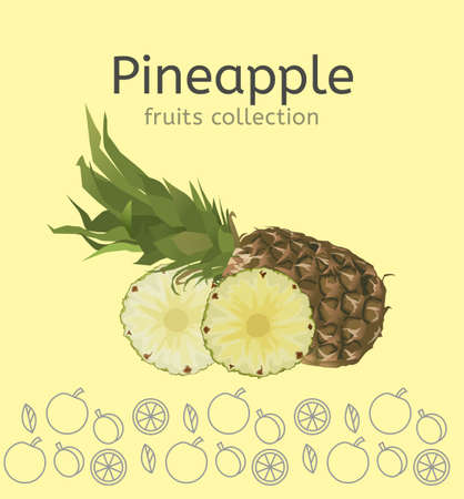 Whole pineapple with round slices isolated on a light beige background. Editable vector illustration.のイラスト素材