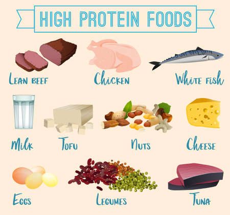 High protein foods set. Lean beef, chicken, white fish, eggs, dairy products and other healthy food. Vector illustration isolated on a light background.のイラスト素材