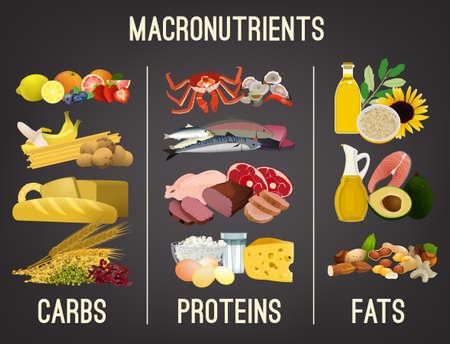 Main food groups - macronutrients. Carbohydrates, fats and proteins in comparison. Dieting, healthcare and eutrophy concept. Vector illustration isolated on a dark grey background. Landscape poster.