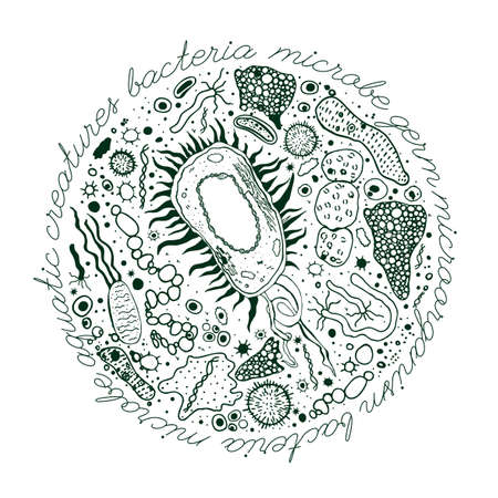 Microorganisms and bacteria hand-drawn image. Single celled microbes pattern. Editable vector illustration in dark green color isolated on a white background. Biological concept in unique style.のイラスト素材