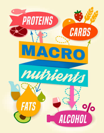 Main food groups - macronutrients. Carbohydrates, fats, proteins, alcohol. Dieting, healthcare and eutrophy concept. Editable vector illustration isolated on a light beige background. Vertical posterのイラスト素材