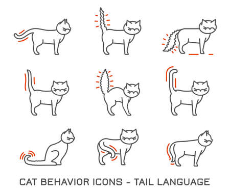 Cat Behavior Iconsのイラスト素材