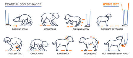 Dog Behavior Icons Setのイラスト素材