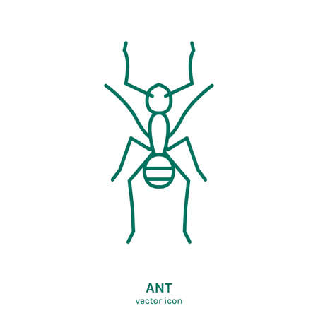 Vector Insect Iconのイラスト素材