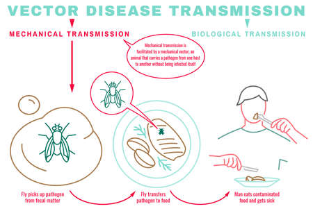 Infectious disease transmission landscape poster. Virus pandemic transfer. Environmental factor. Medical, safety, health infographic design. Editable vector illustration isolated on white background.のイラスト素材