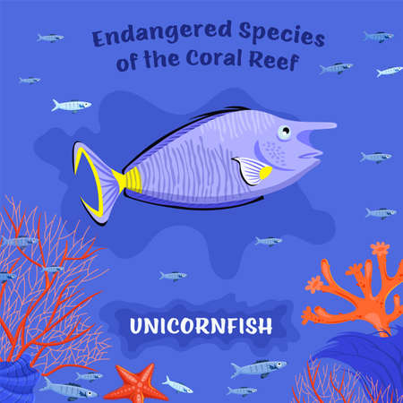 Endangered reef fish on blue background