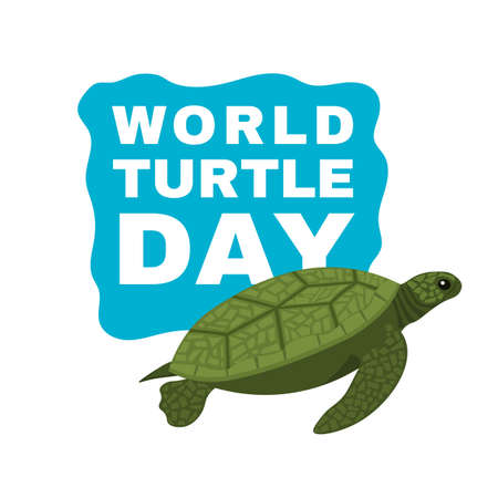 World turtle day in May. International event.のイラスト素材