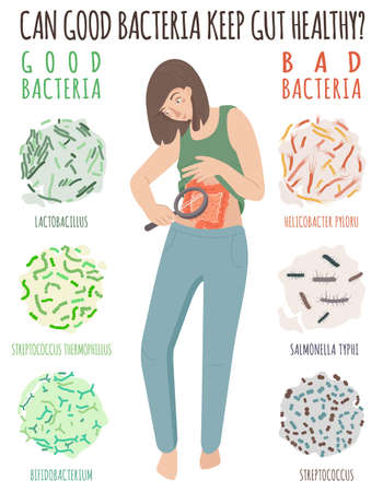 Why gut health matters. Your digestion are important.のイラスト素材