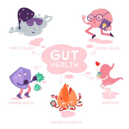 Why gut health matters. Scientific poster with characters.のイラスト素材