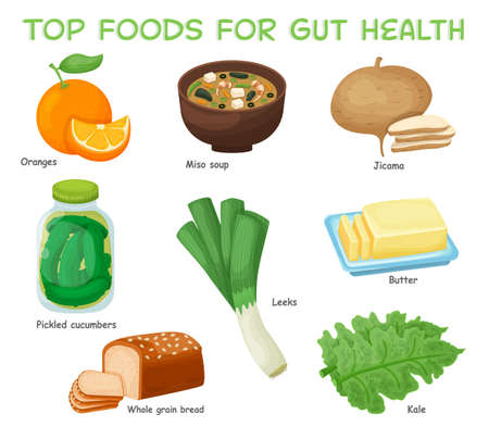 Top foods for gut health. Healthy products collection.のイラスト素材
