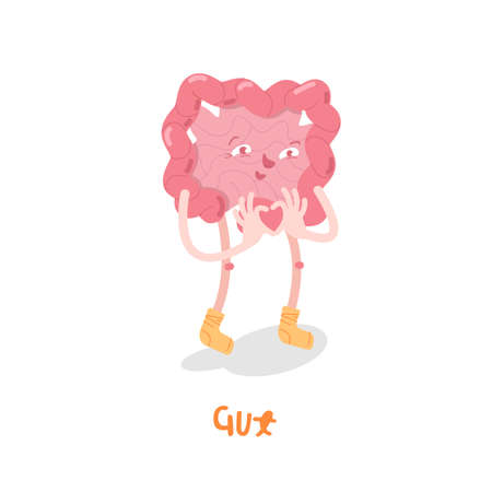 Gut digestion character. Human internal organ sign.のイラスト素材