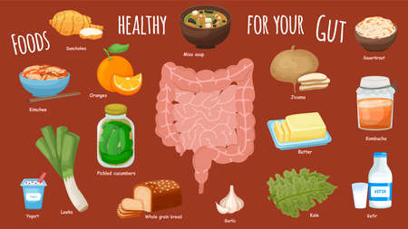 Top foods for gut health. Healthy products collection.のイラスト素材