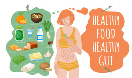 Top foods for gut health. Healthy products collection.のイラスト素材