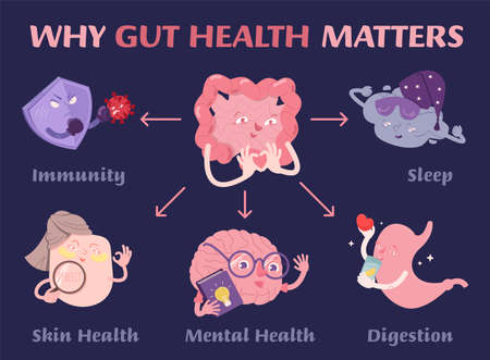 Why gut health matters. Scientific poster with characters.のイラスト素材