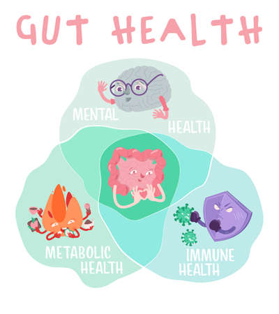 Why gut health matters. Vertical poster. Medical infographic.のイラスト素材