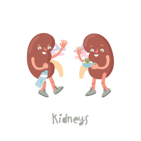 A pair of kidneys. Cartoon characters in a trendy style.のイラスト素材