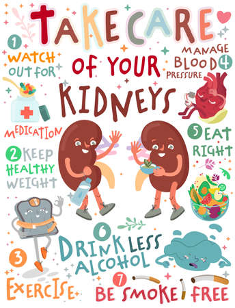 Take care of your kidneys. Creative vertical poster in modern style.のイラスト素材