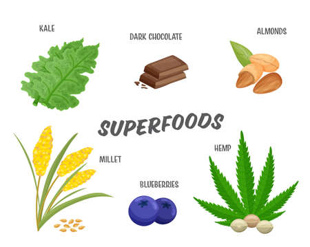 Superfoods set, vector illustration. Healthy nutritious products, design elements isolated on white for advertisementのイラスト素材