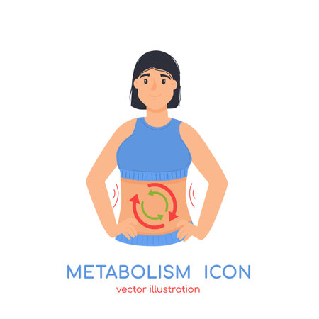 Metabolism icon. Healthy metabolic process, digestion, calories burning, circle arrows on female cartoon character bellyのイラスト素材