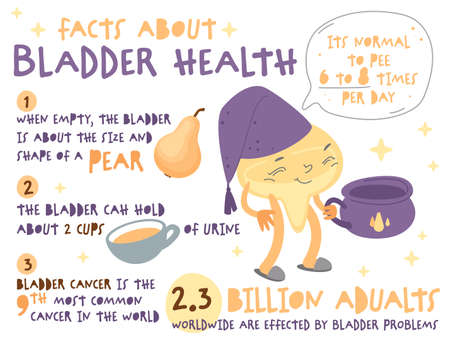 Take care of your bladder. Creative landscape posterのイラスト素材