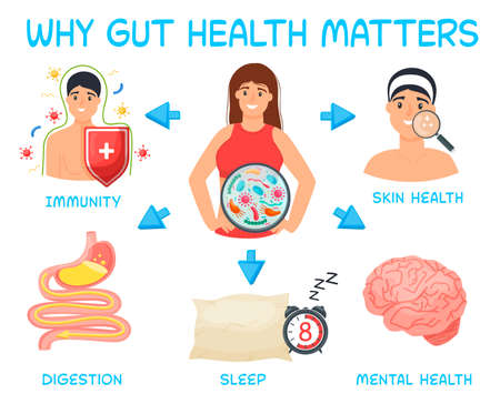 Why gut health matters. Landscape poster. Medical infographic.のイラスト素材