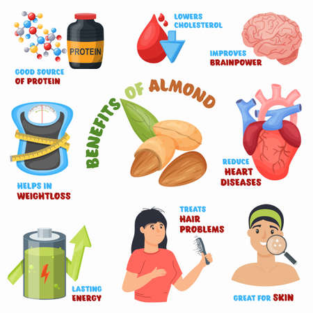 Almond nuts benefits advertising poster. Superfood rich of healthy unsaturated fats, vitamins. Vector illustration.のイラスト素材