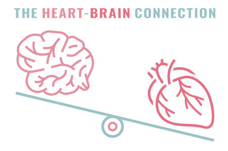 Heart-brain connection. Health of the heart and mind are intertwined.のイラスト素材