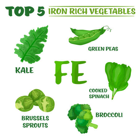 Top five iron rich vegetables - kale, broccoli, Brussels sprouts, peas and cooked spinach.のイラスト素材
