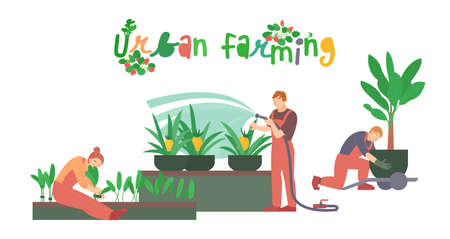 Urban farming, gardening. Editable vector illustration in modern styleのイラスト素材