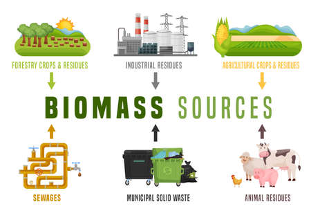 Biomass energy landscape poster with useful infographics. Vector illustrationのイラスト素材