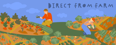 Young women working in allotment gardens. Vector illustrationのイラスト素材