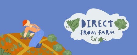 Young farmer working in allotment gardens. Editable illustrationのイラスト素材