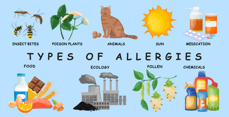 Types of allergies. Medical infographic. Vector illustrationのイラスト素材