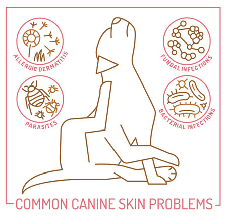 Dog skin problems infographic. Editable vector illustrationのイラスト素材