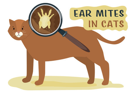 Eat mites. Common external parasites in cats.のイラスト素材