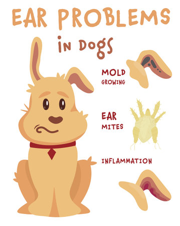 Common ear problems in dogs. Vector illustrationのイラスト素材
